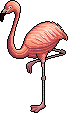 pink_flamingo