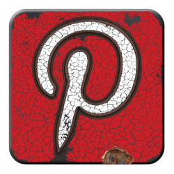 Pinterest Icon grunge