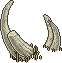 anc_bones