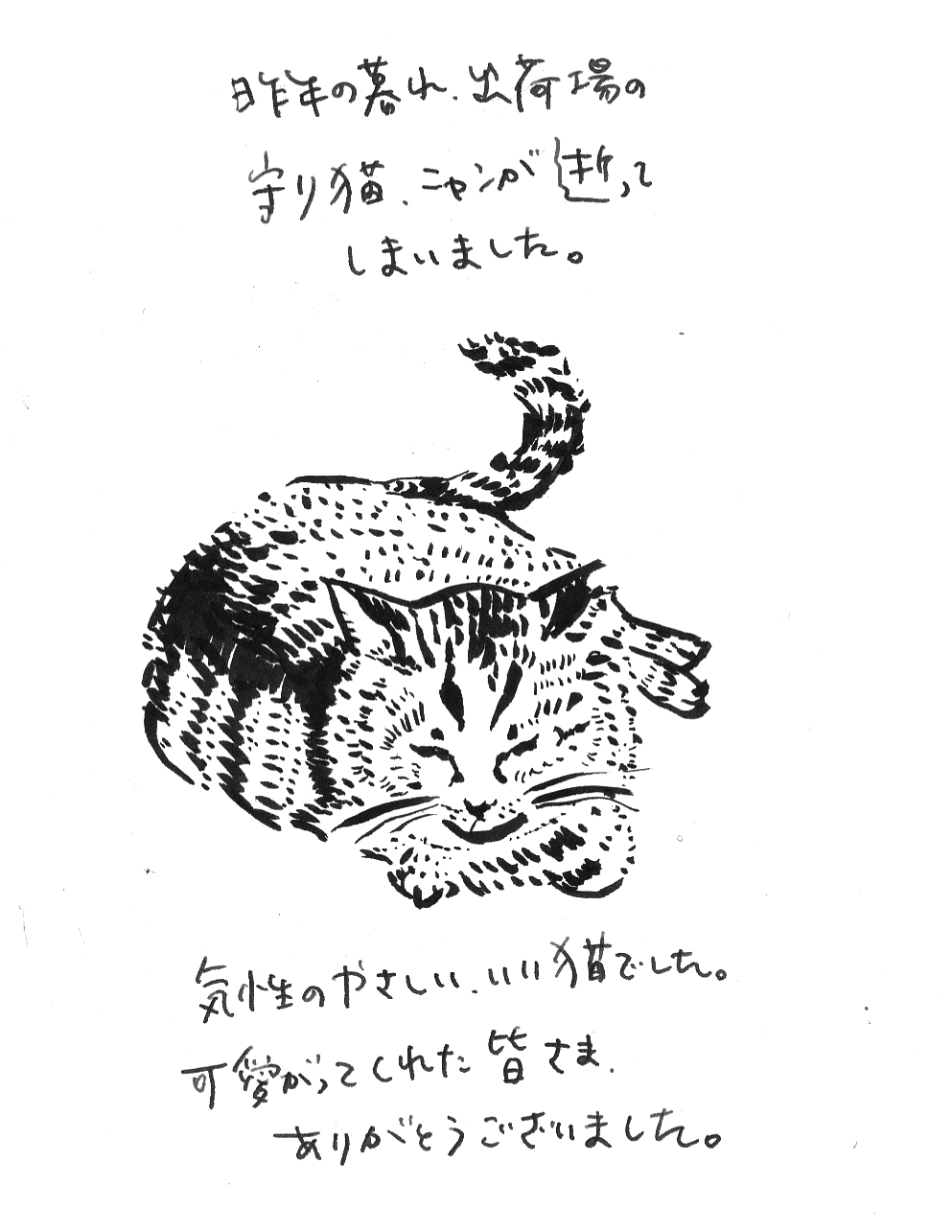 みどりの通信　2026年2月号　夏の高温　冬の乾燥／つぎはぎトンネル