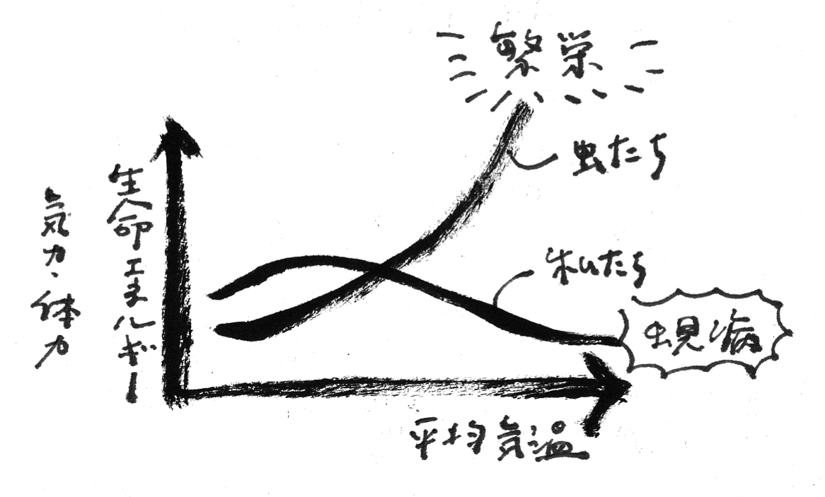 みどりの通信　2024年10月号　虫見病／宇宙人野菜