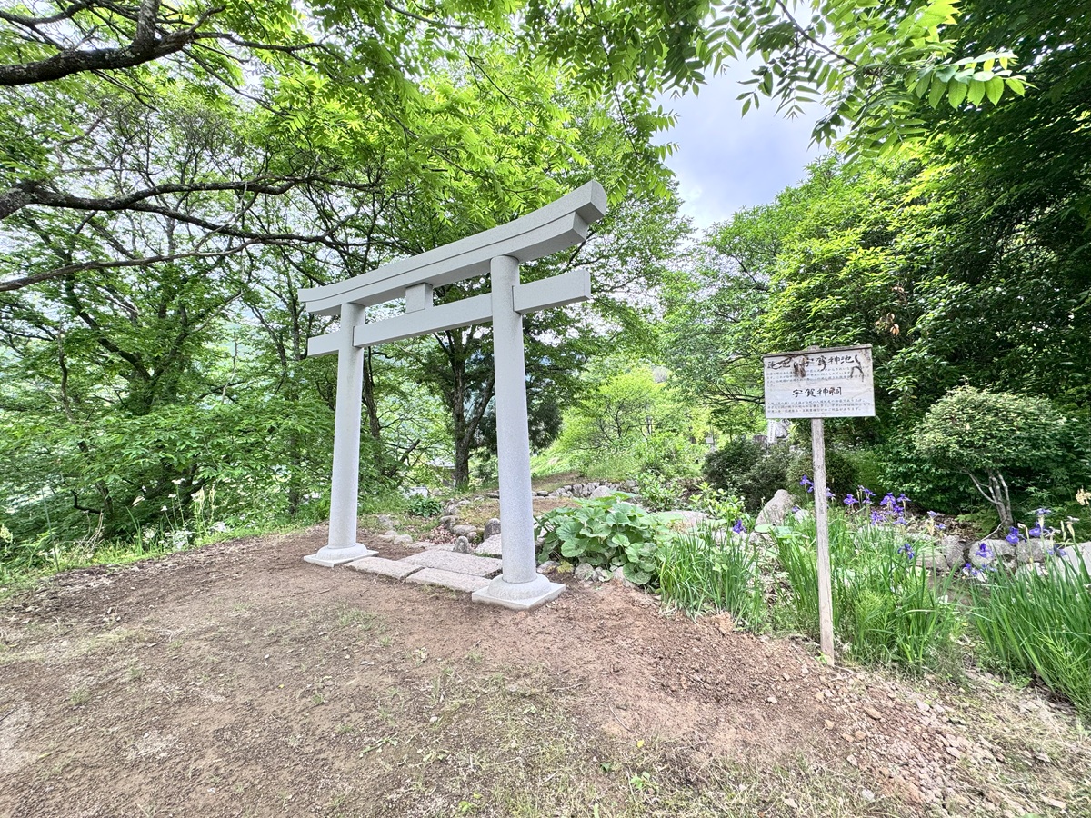 鳥居建立