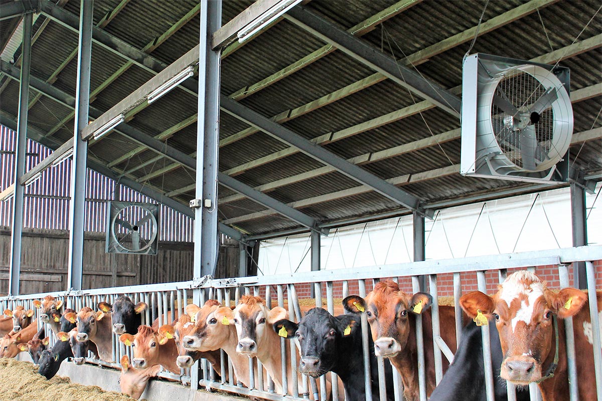 Großviehventilator MD-EC Flow - startklar für den Sommer