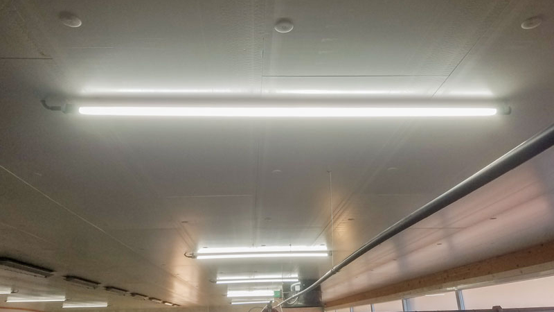 LED-Stalleuchten