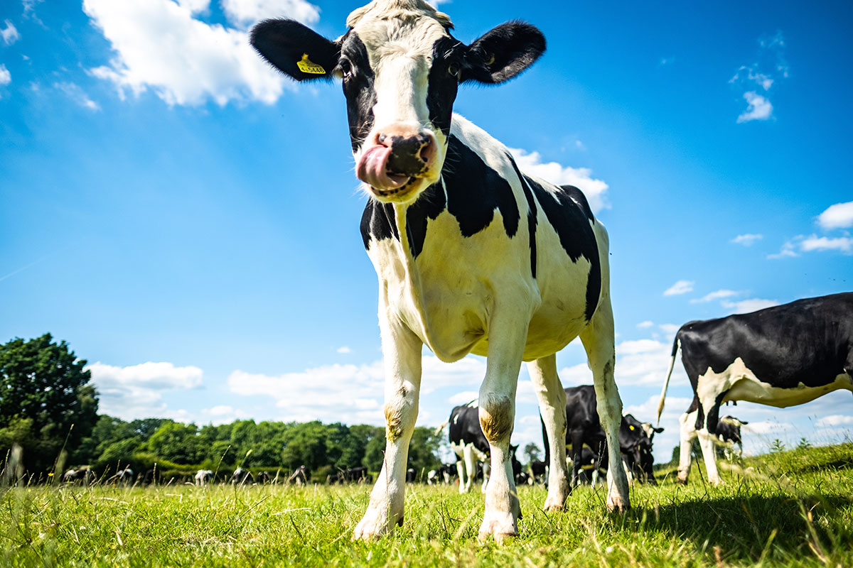 Landwirtschaftsmesse » AGRAR Unternehmertage « verlegt