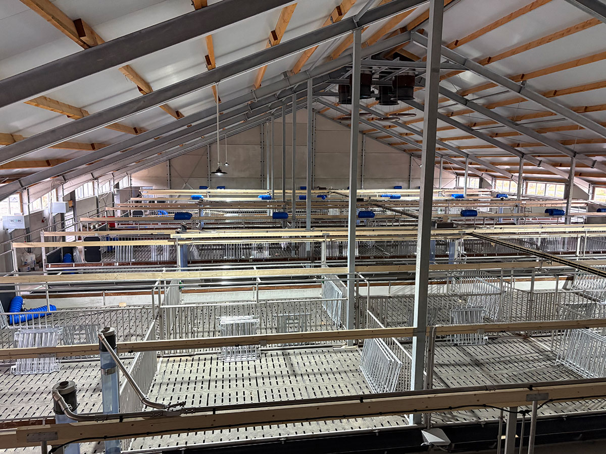 Tag der offenen Tür im neuen Kälberstall im Emsdetten