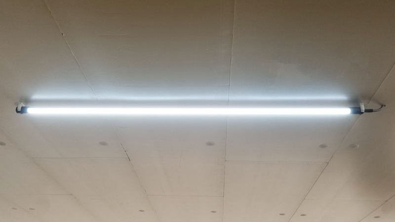 IP 67 LED-Leuchten für Rinderställe
