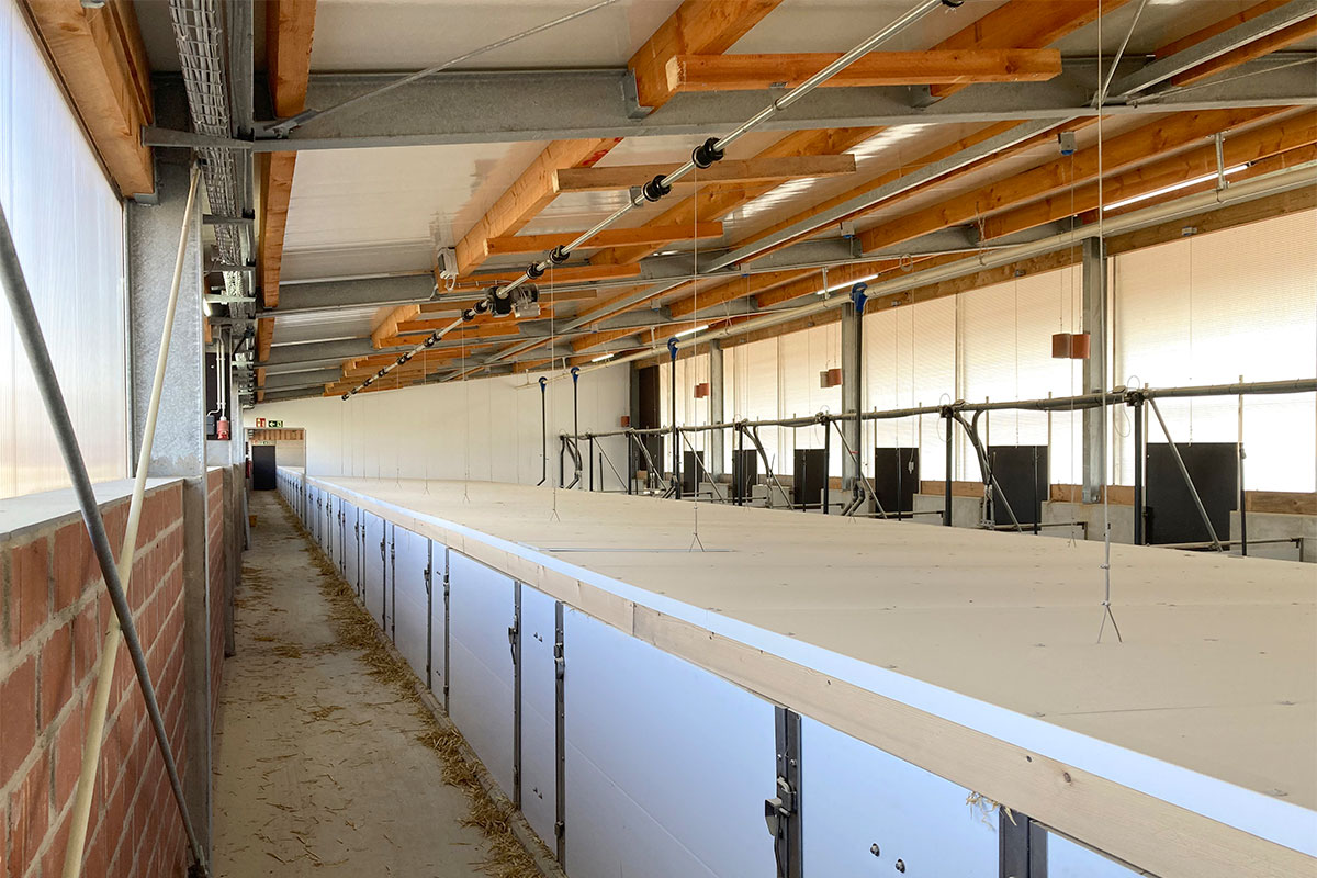 Außenklimastall Haltungsstufe 4 (Pig Port)