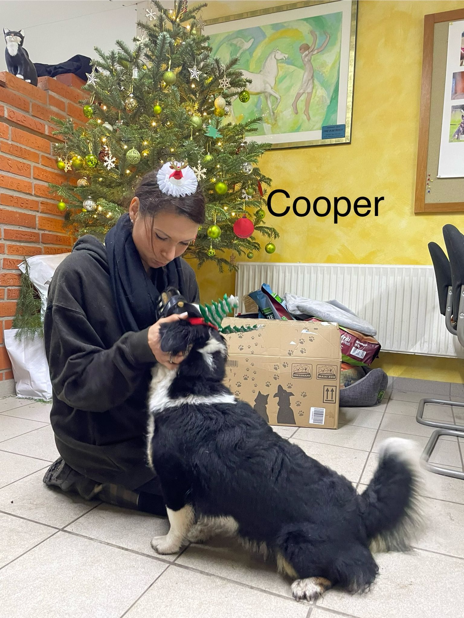Unser kleiner Hundejunge Cooper wünscht nichts mehr, als Menschen zu finden, die ihn ernst nehmen und ihn behandeln, wie einen richtigen Hund...