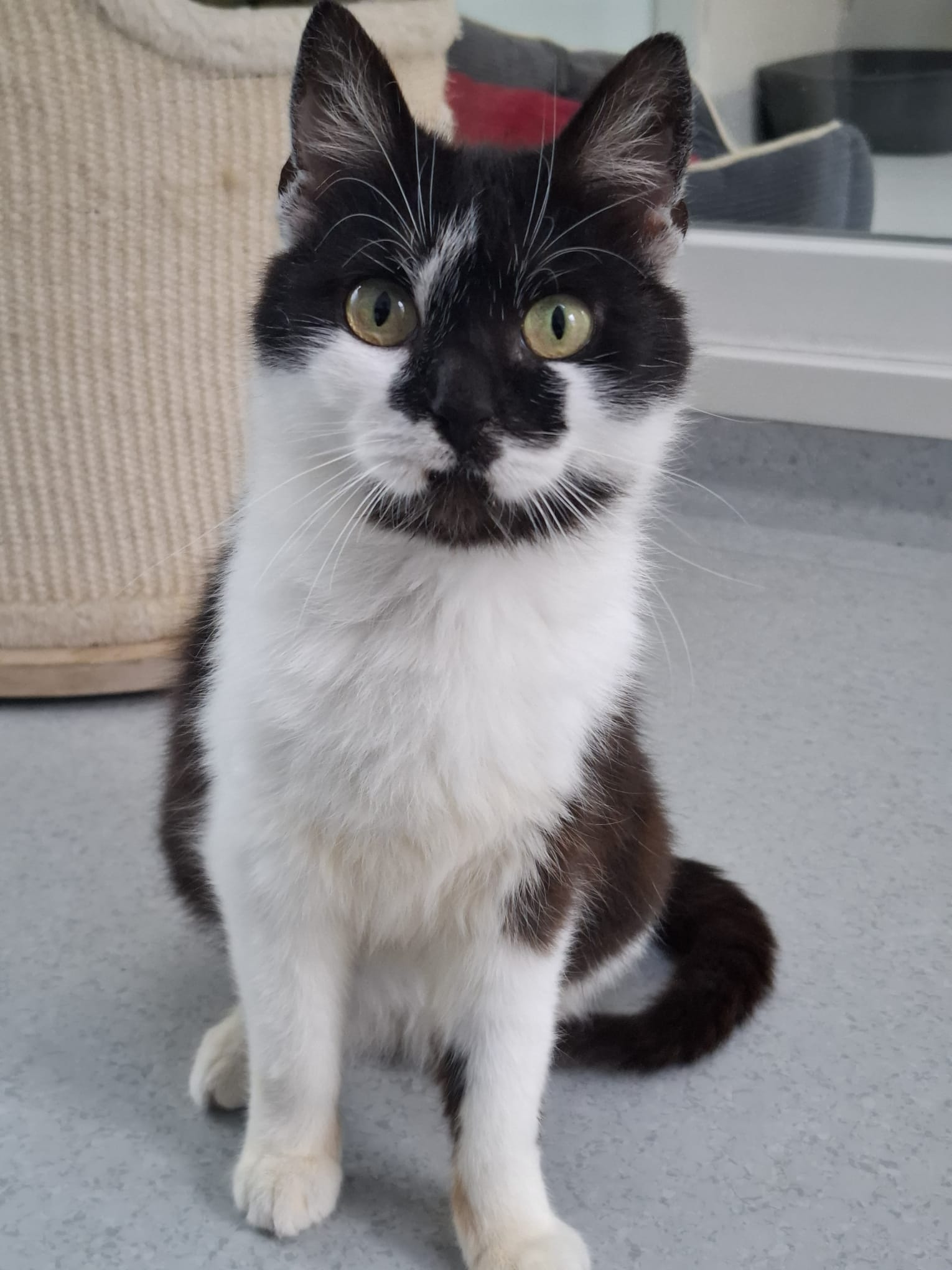 Mimi