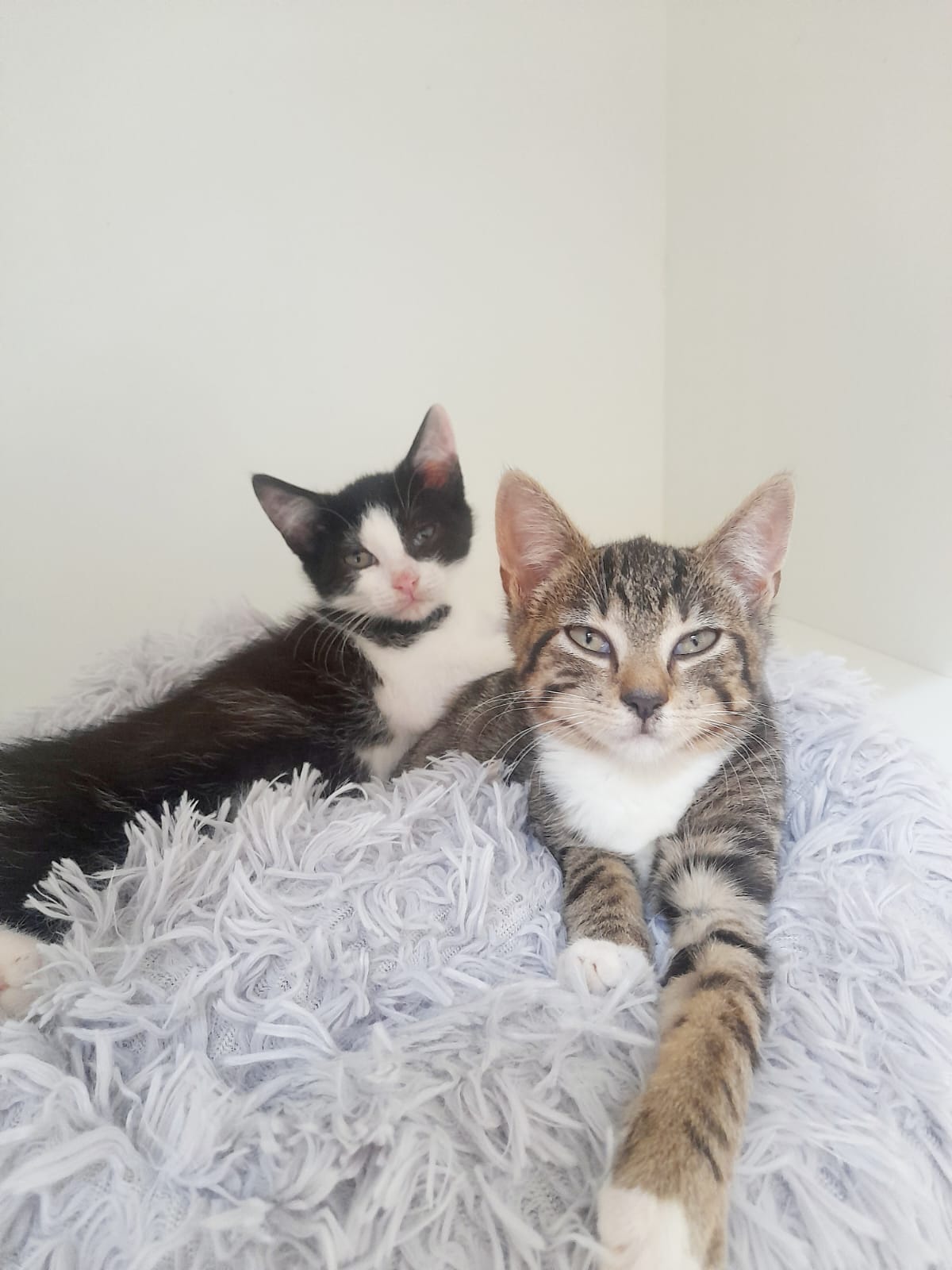 Ilvy und Paolo