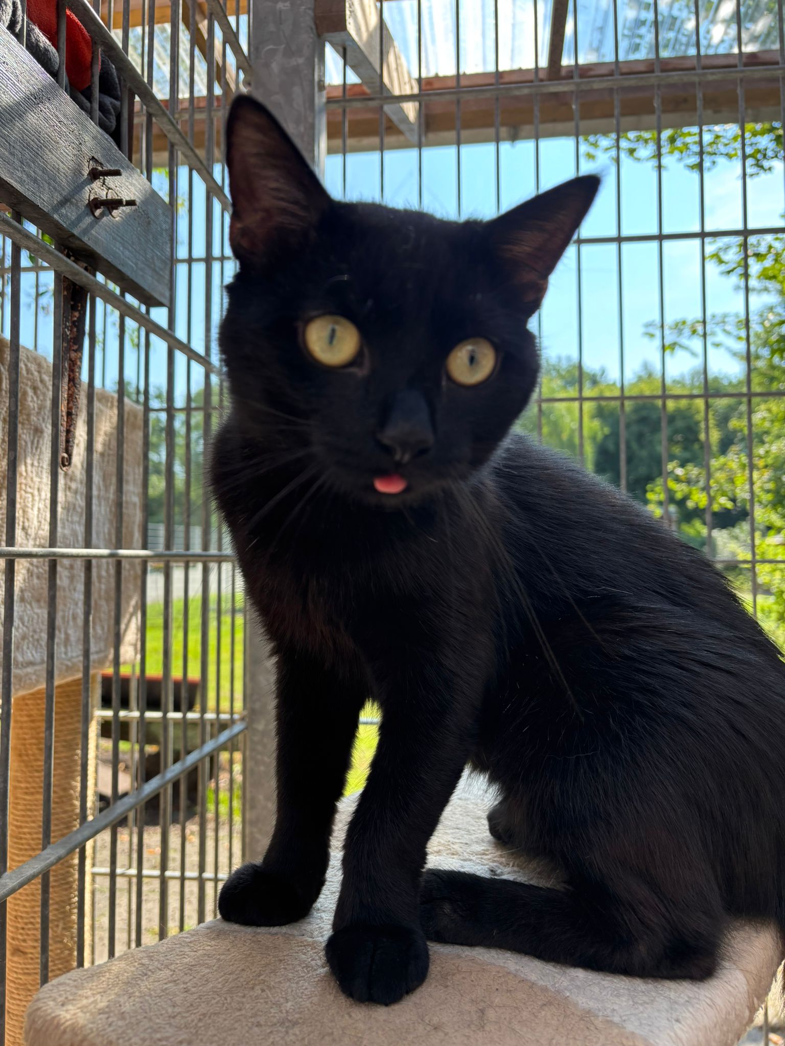 Milo
