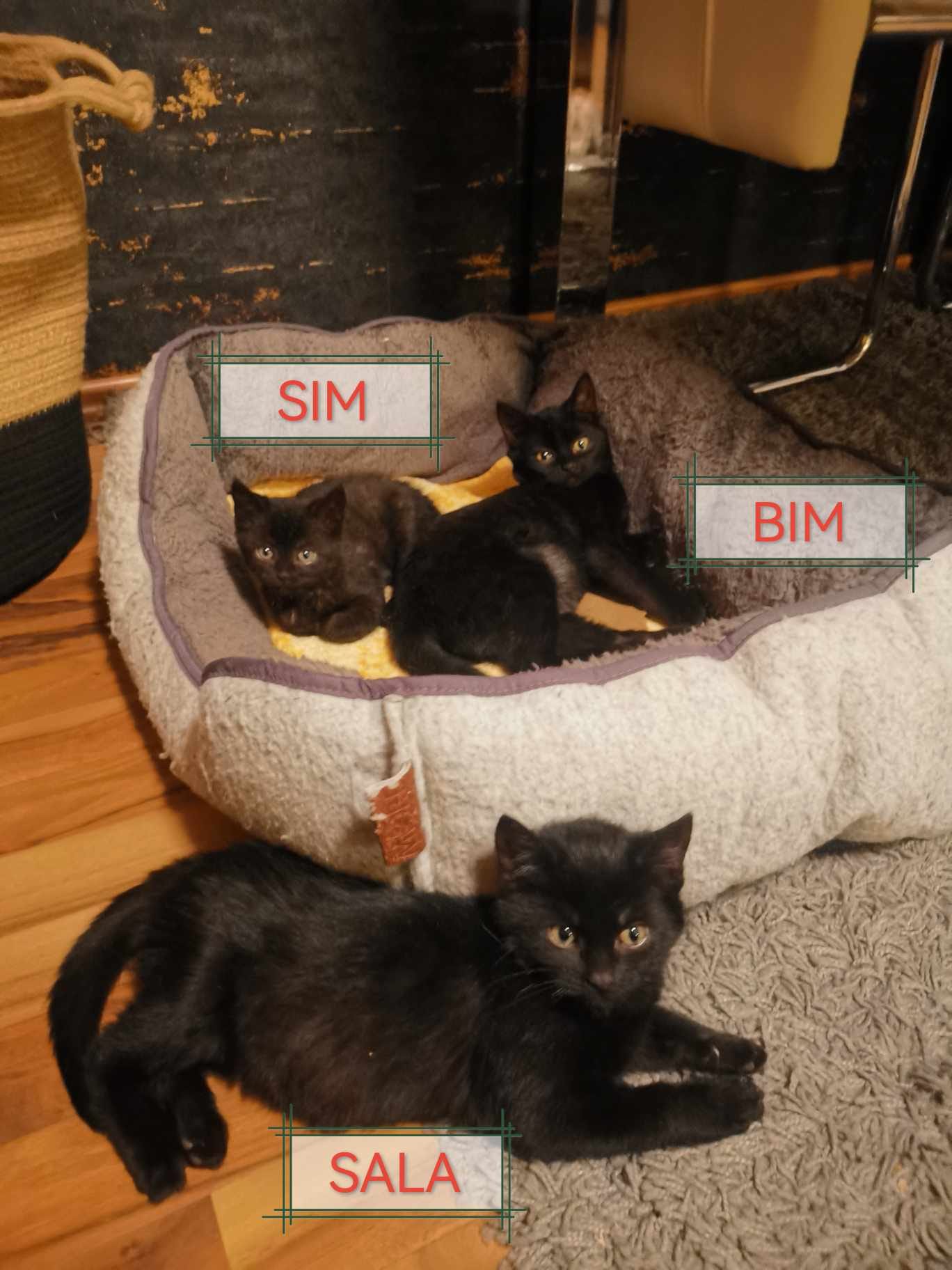Sim und Sala