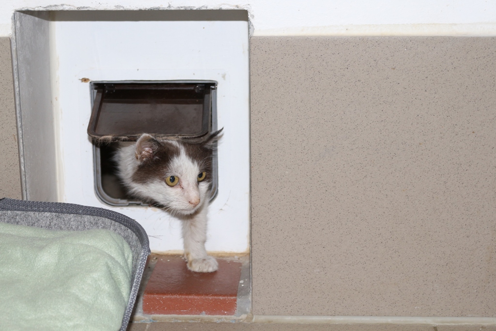 Sam kommt mal gucken