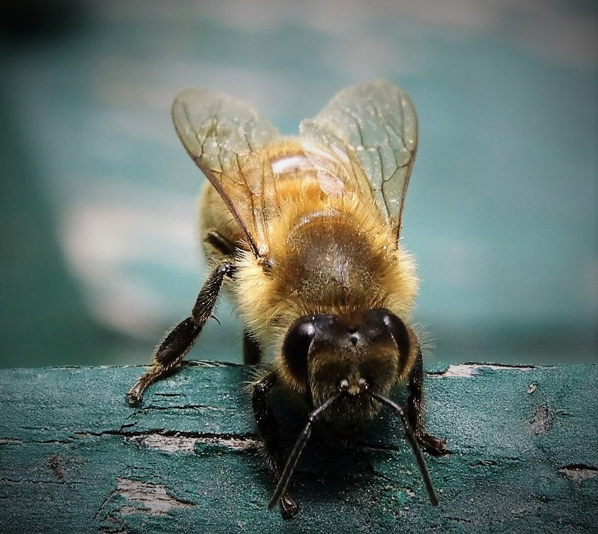 Am Flugbrett