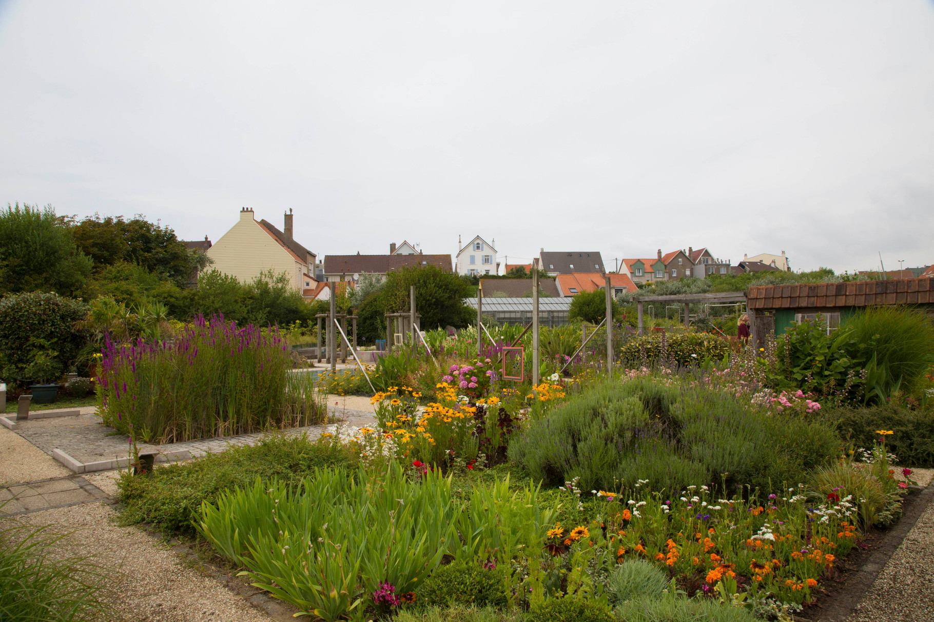 Wimereux par Denis Paillard