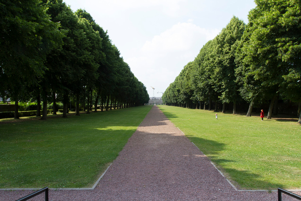 allée du château Guillemont par Sophie Mayeux