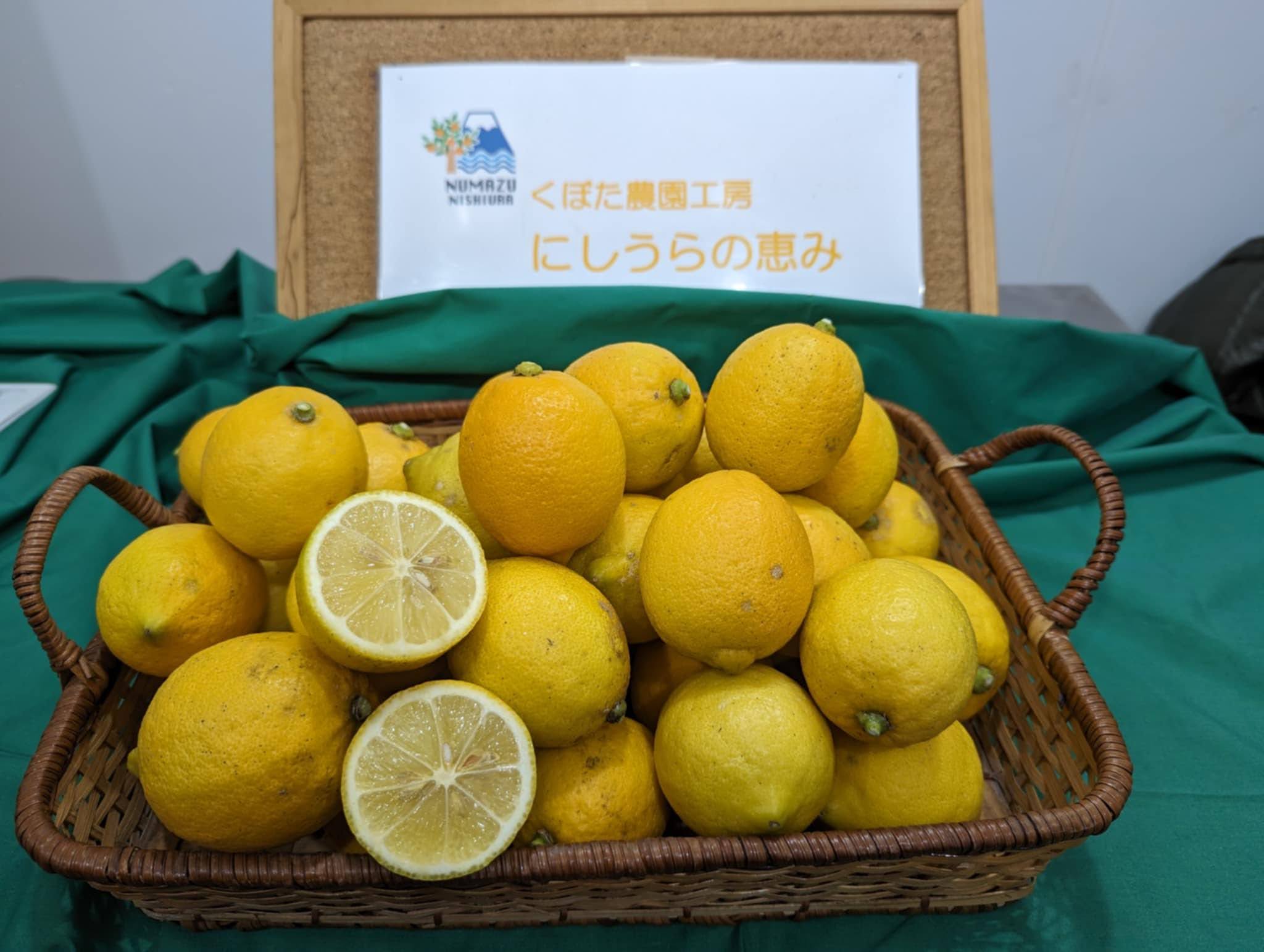 みんなの蜜柑ジュース - くぼた農園工房