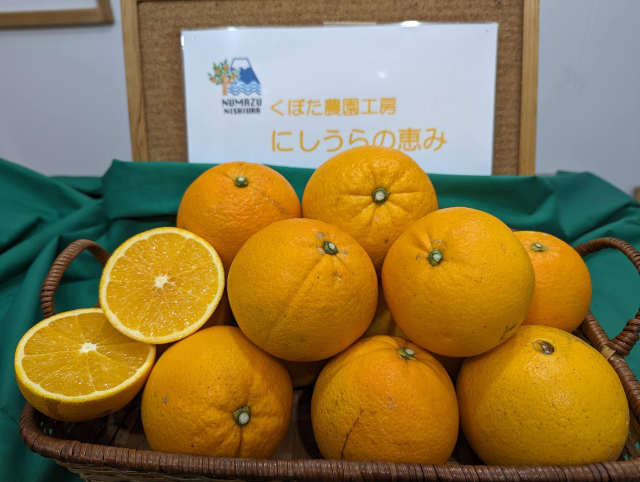 みんなの蜜柑ジュース - くぼた農園工房