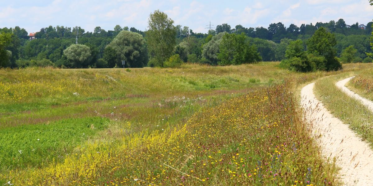 Flutkanal und Isardamm bei Hirschau