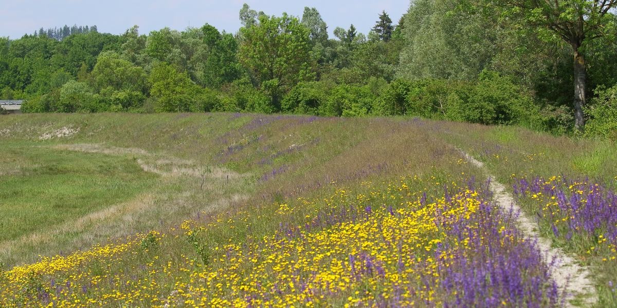 Flutkanal bei Schwaig