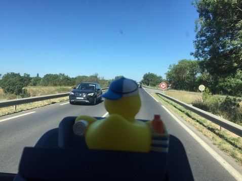 Elli immer vorne mit dabei und alles im Blick.
