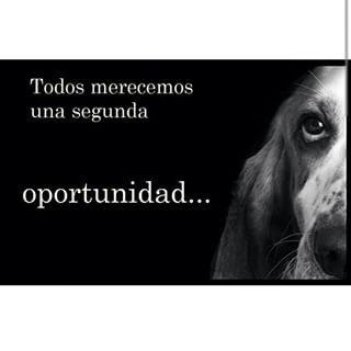 Pinche en el cartel.