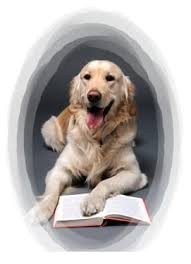 Libros para entender a un perro, pinchando en el dibujo.