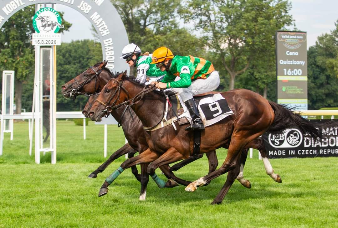 Sunny Meadow in der Mitte im Endkampf (Foto: Anton Martinec)