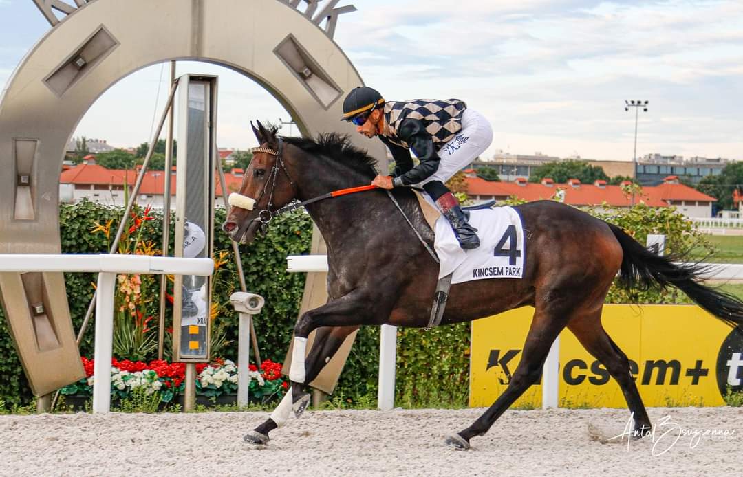 Magnentius unter Alberto Sanna (Foto: Antal Zsuzsanna)