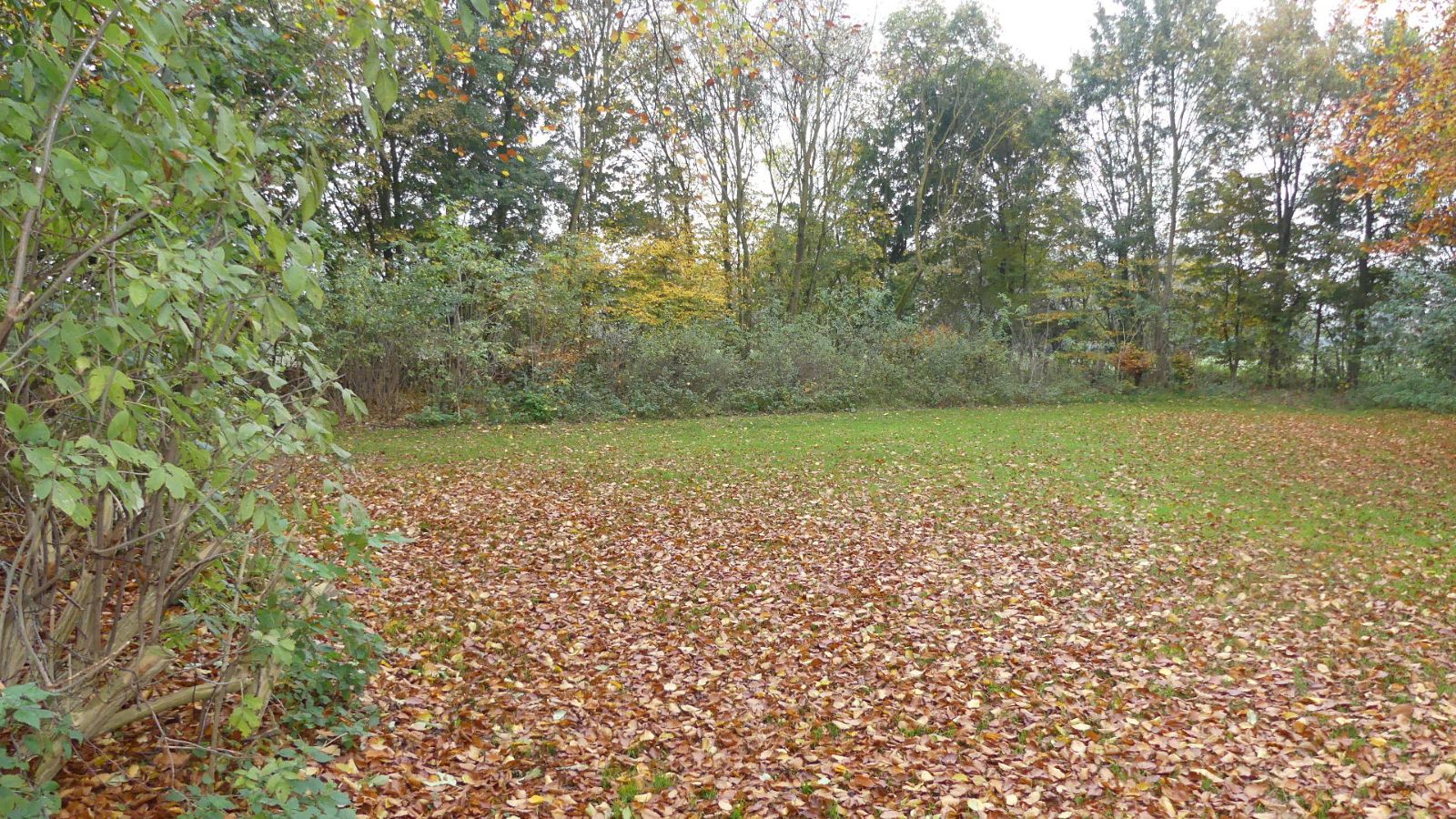 Ist zwar noch etwas herbstlich gewesen, aber sooo viel Platz werden wir haben.