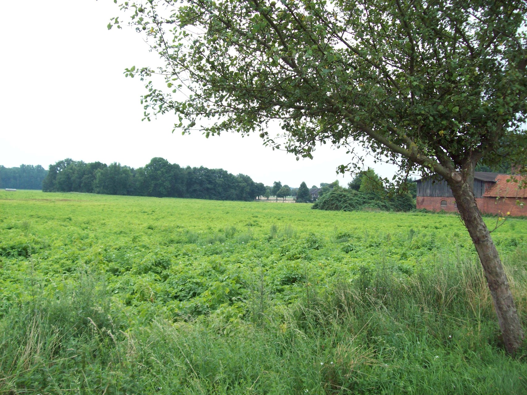 Landschaft