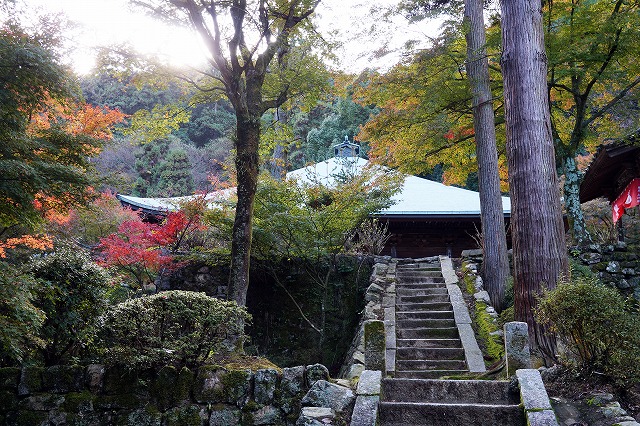 10　西山興隆寺　古い石の階段は、古い寺にベストマッチです