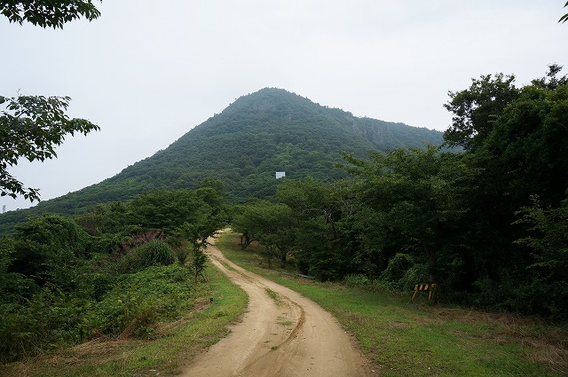 稲積山　高屋神社より登る　イノシシの足跡がいっぱい、、、