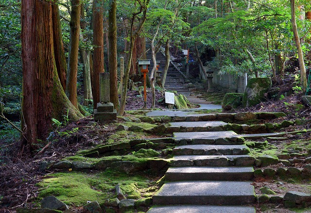 10　西山興隆寺　京都の山奥の古寺を思わせる参道