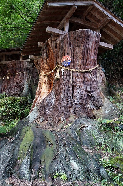 10　西山興隆寺　平安時代、報恩大師がここを訪れた時、境内にある杉の木の枝で、千手観音が光ったらしい