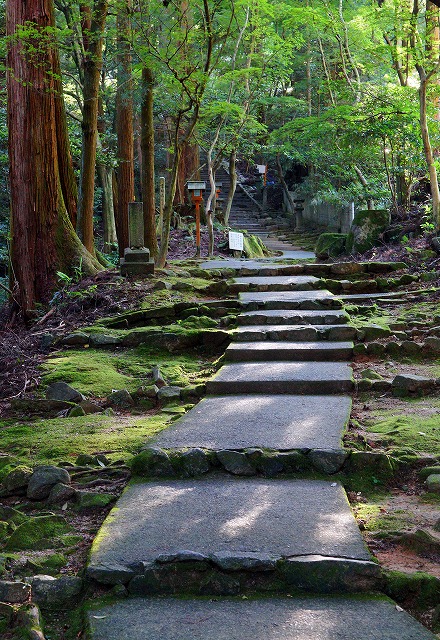 10　西山興隆寺　参道まわりには、苔・樹木の根・石、、、自然に溶け込んでいます