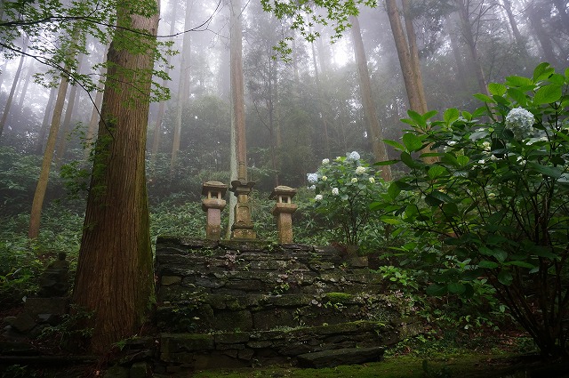 65　三角寺　木霊の漂う静寂な森