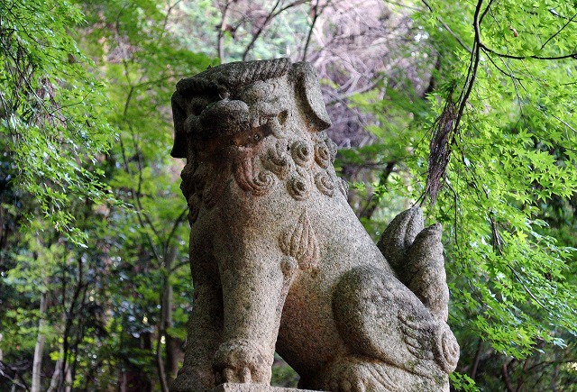 10　西山興隆寺　何と狛犬が、、、　明治の神仏分離令の名残りでしょうか？