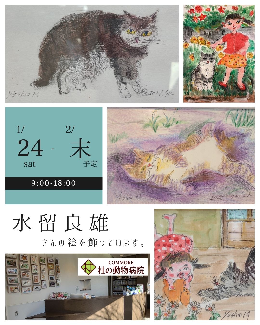 水留良雄さんの猫の絵を飾りました