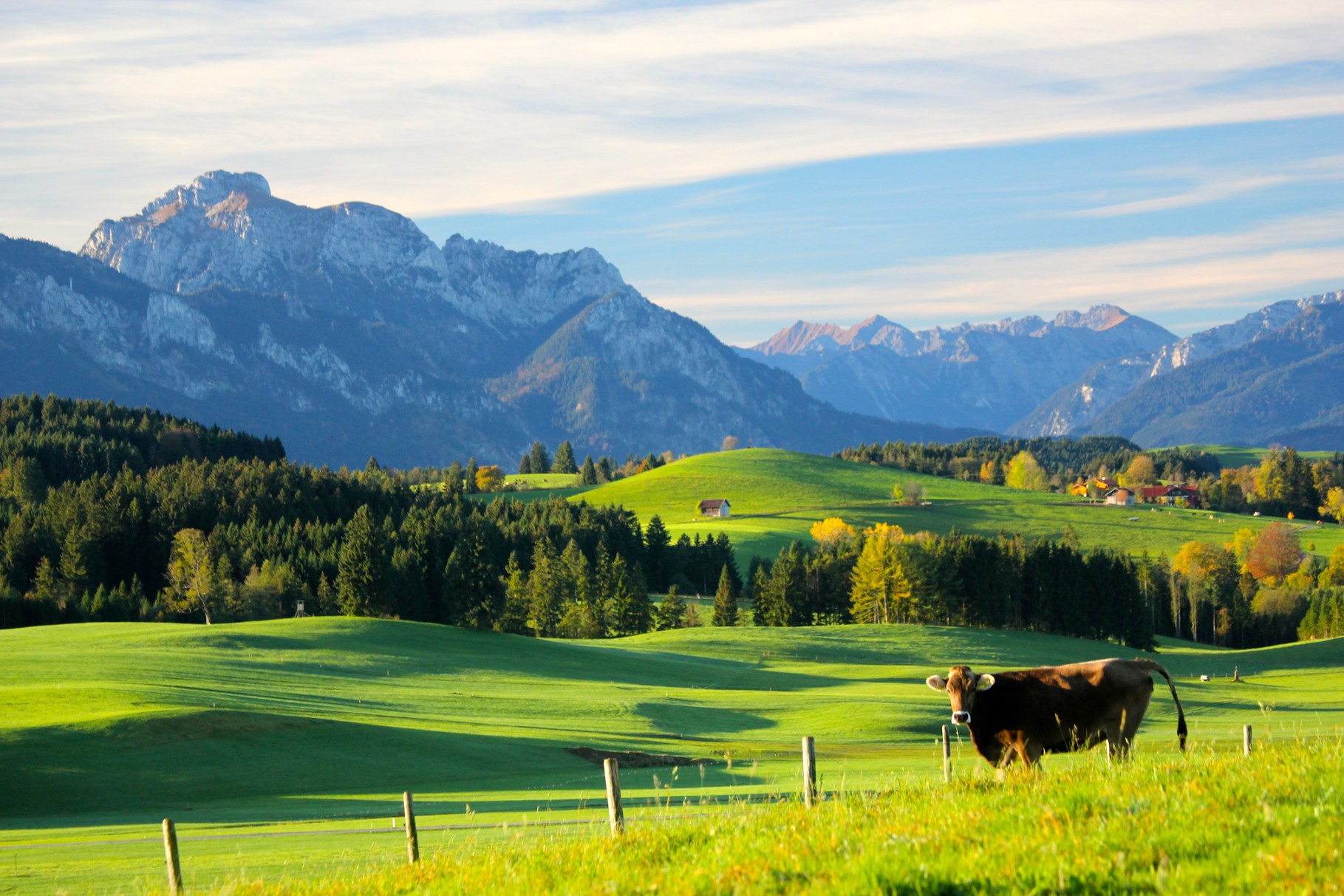 Morgenstimmung mit Blick in das Ammergebirge 