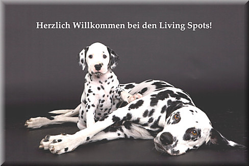 Happy End of the Living Spots mit ihrem Sohn Luxury Landcruiser of the Living Spots im Mai 2010 (Foto: www.animal-photography.de)