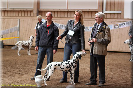 Best of Breed - drei Monate nach ihrem Wurf!