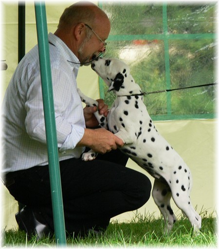 ...schon auf ihrer ersten Show versucht Frau Sommer, den Richter mit ihrem Charme zu bestechen...