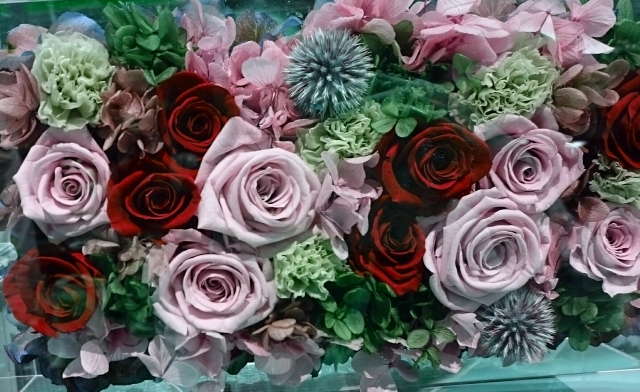 花で楽しむクリスマス — 冬に咲く「ぬくもりの贈り物」