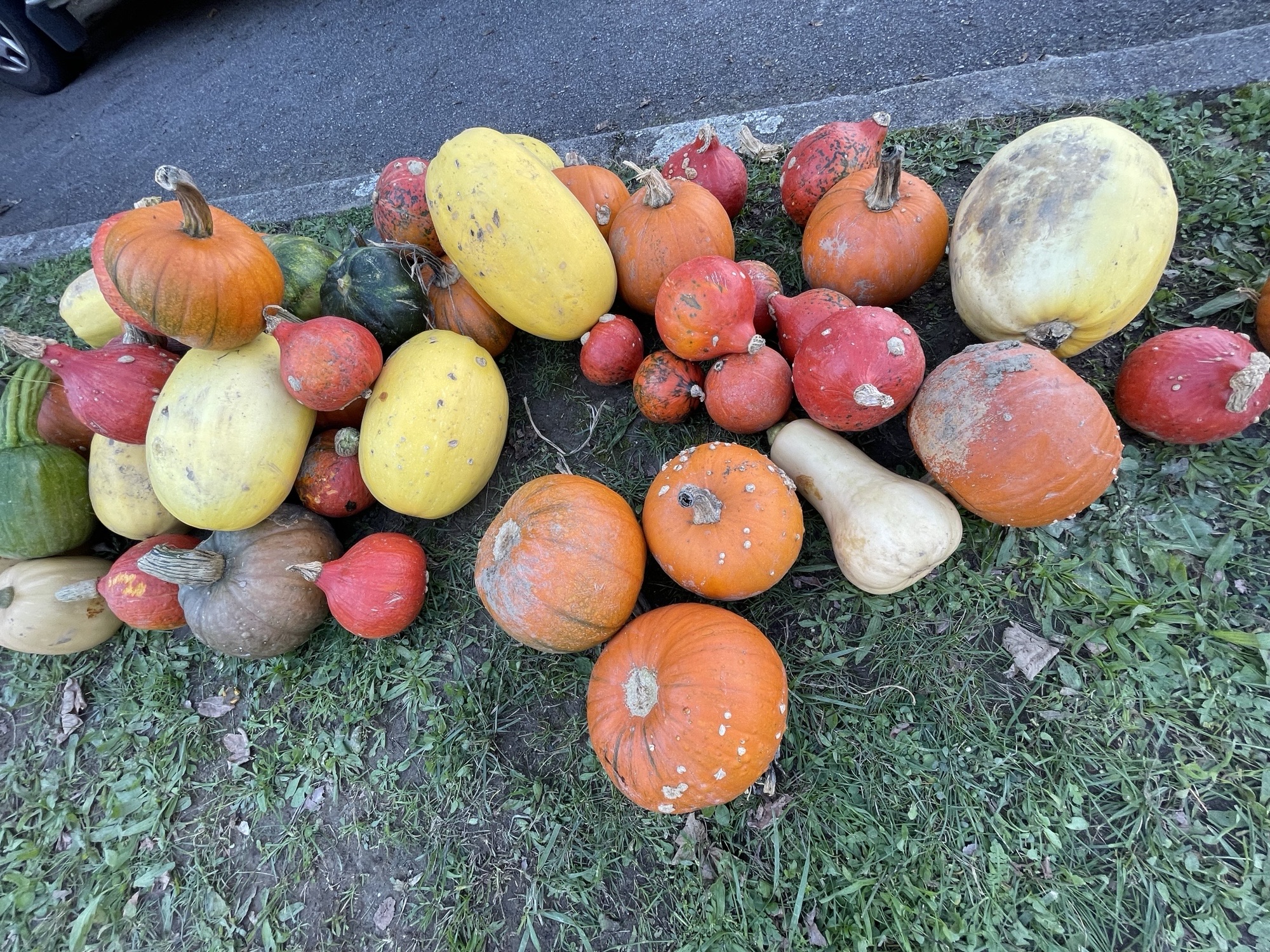 Kennenlernen im Herbst - ein herzliches Miteinander
