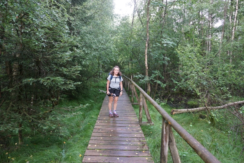 Auf dem Steg im Kulzer Moor