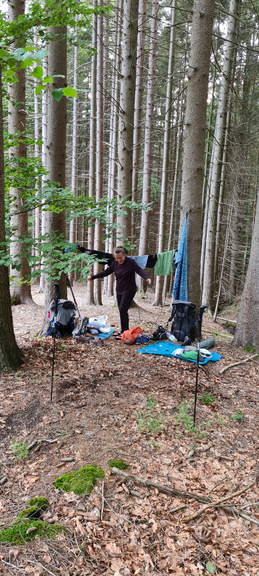 Unser heutiges Camp mit Wäscheleine im Wald