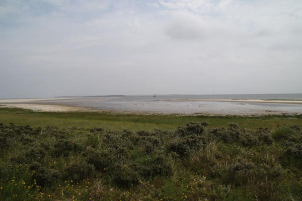 Der Oststrand auf Langeoog