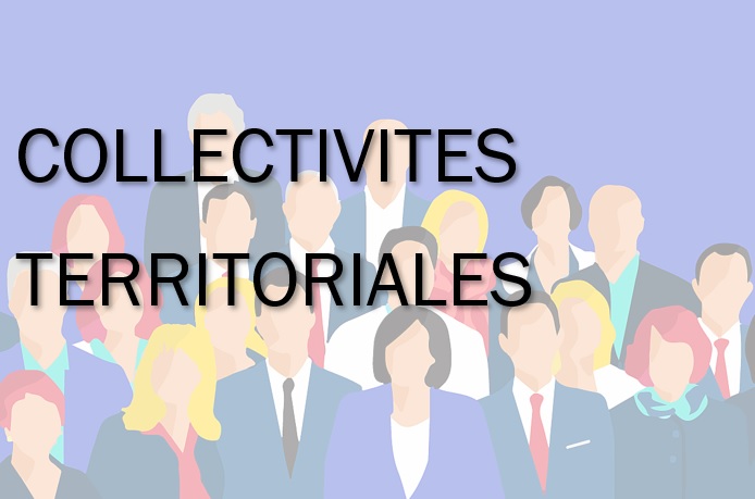 Collectivités territoriales - PERFORM